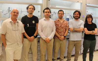 La luz visible permite “atrapar” durante horas una molécula inestable para su estudio en procesos químicos